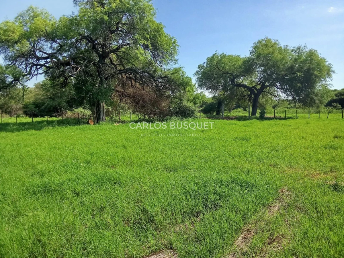 Campo Ref.1695 - Campo en venta de 20.600 has en Formosa 