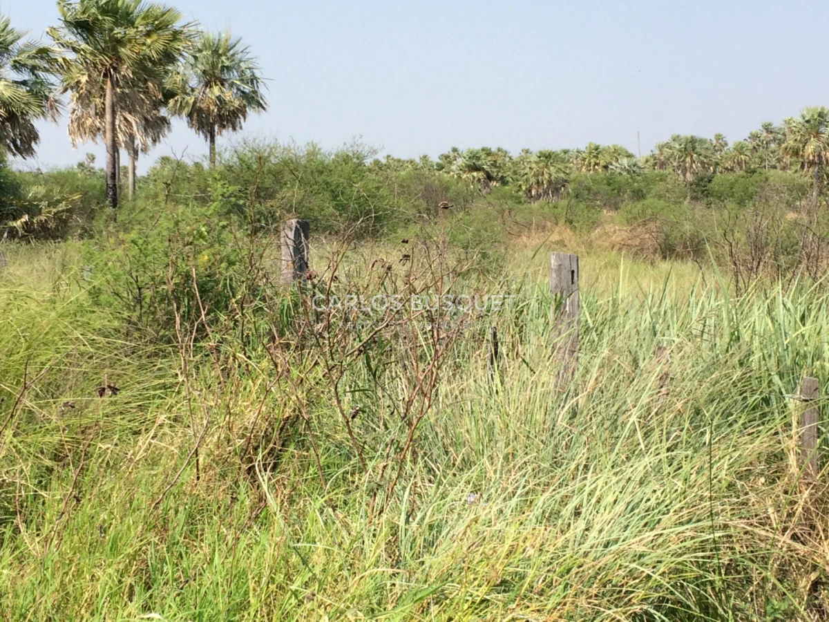 Campo Ref.1707 - Venta de 6.000 has. ganaderas en Formosa