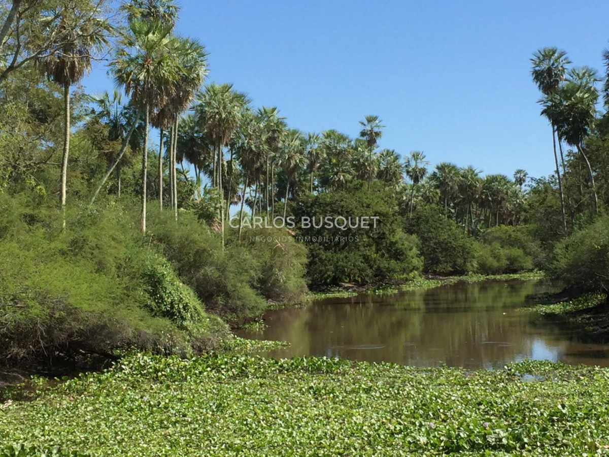 Campo Ref.1707 - Venta de 6.000 has. ganaderas en Formosa