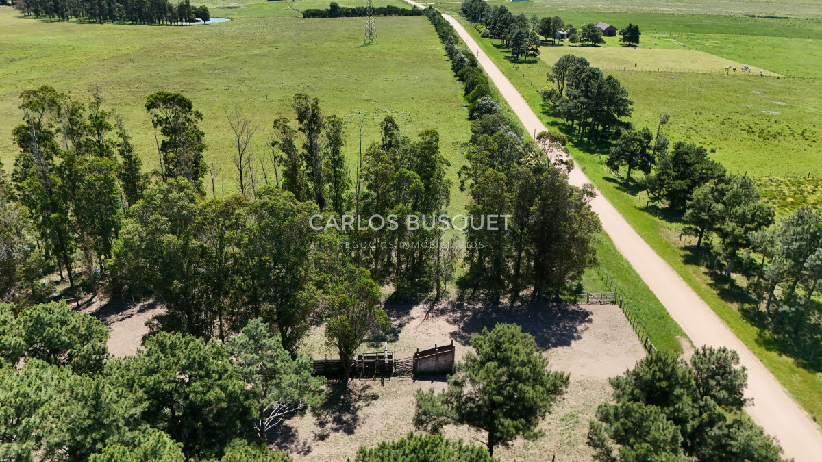 Campo Ref.311 - Campo en venta de 102 Hectáreas zona Ruta 104 