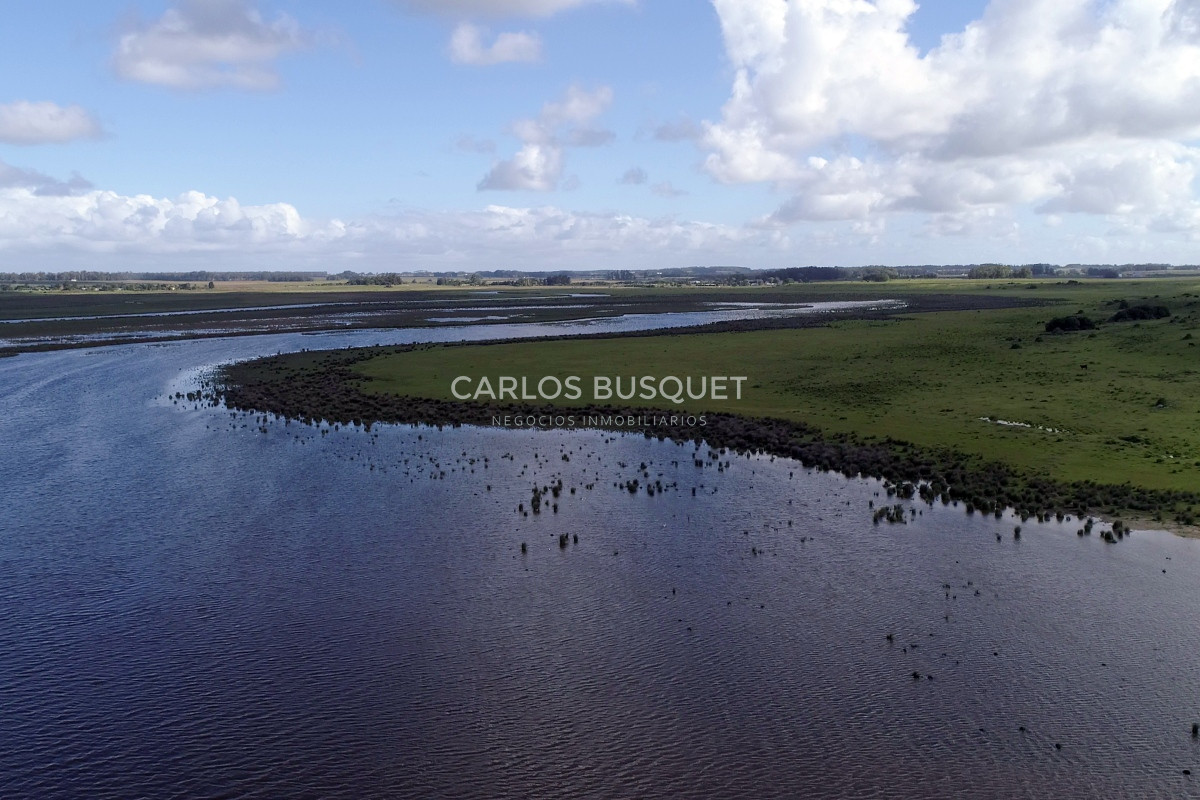 Campo Ref.542 - Campo de 189 has. en venta con costa de arroyo y Laguna de Jose Ignacio 