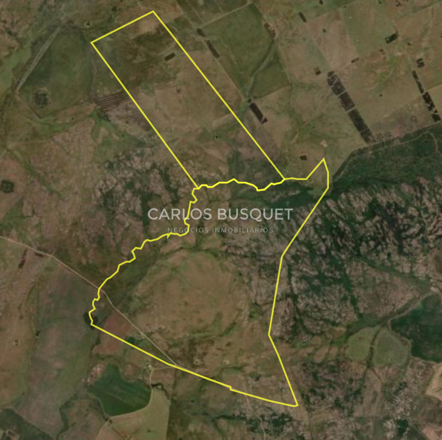 Campo Ref.451 - Campo en venta de 371 has. en Pan de Azúcar 