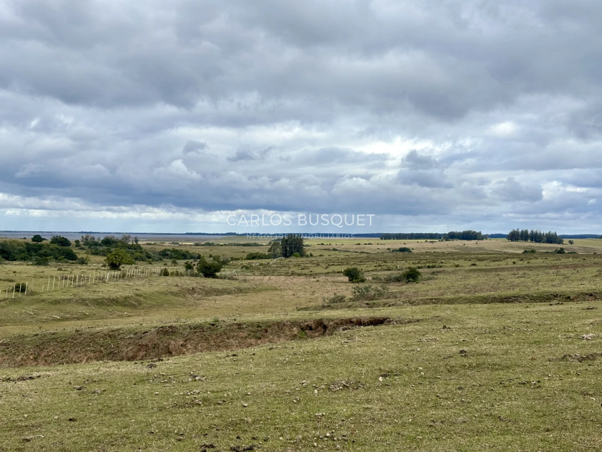 Campo Ref.1726 - Chacra de 30 has. en venta en José Ignacio - Ruta 9 