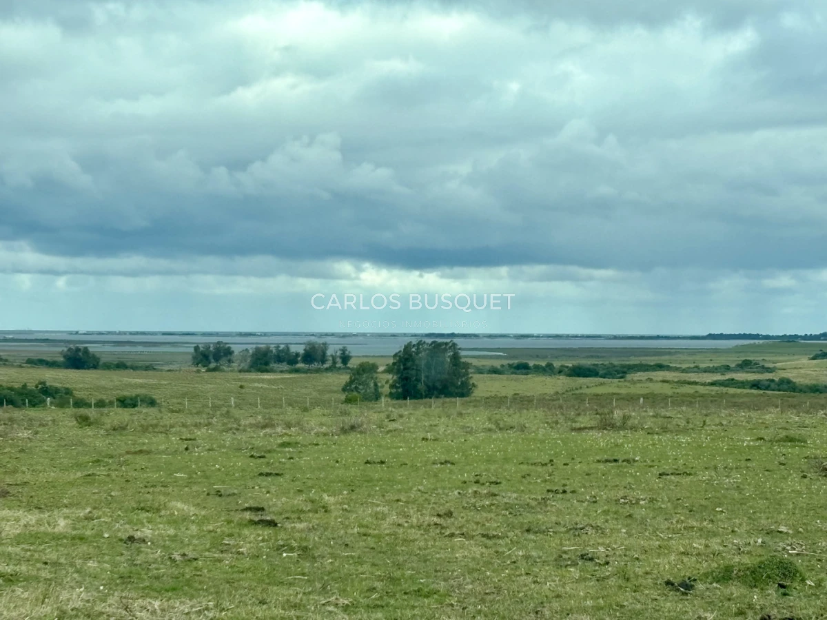 Campo Ref.1726 - Chacra de 30 has. en venta en José Ignacio - Ruta 9 