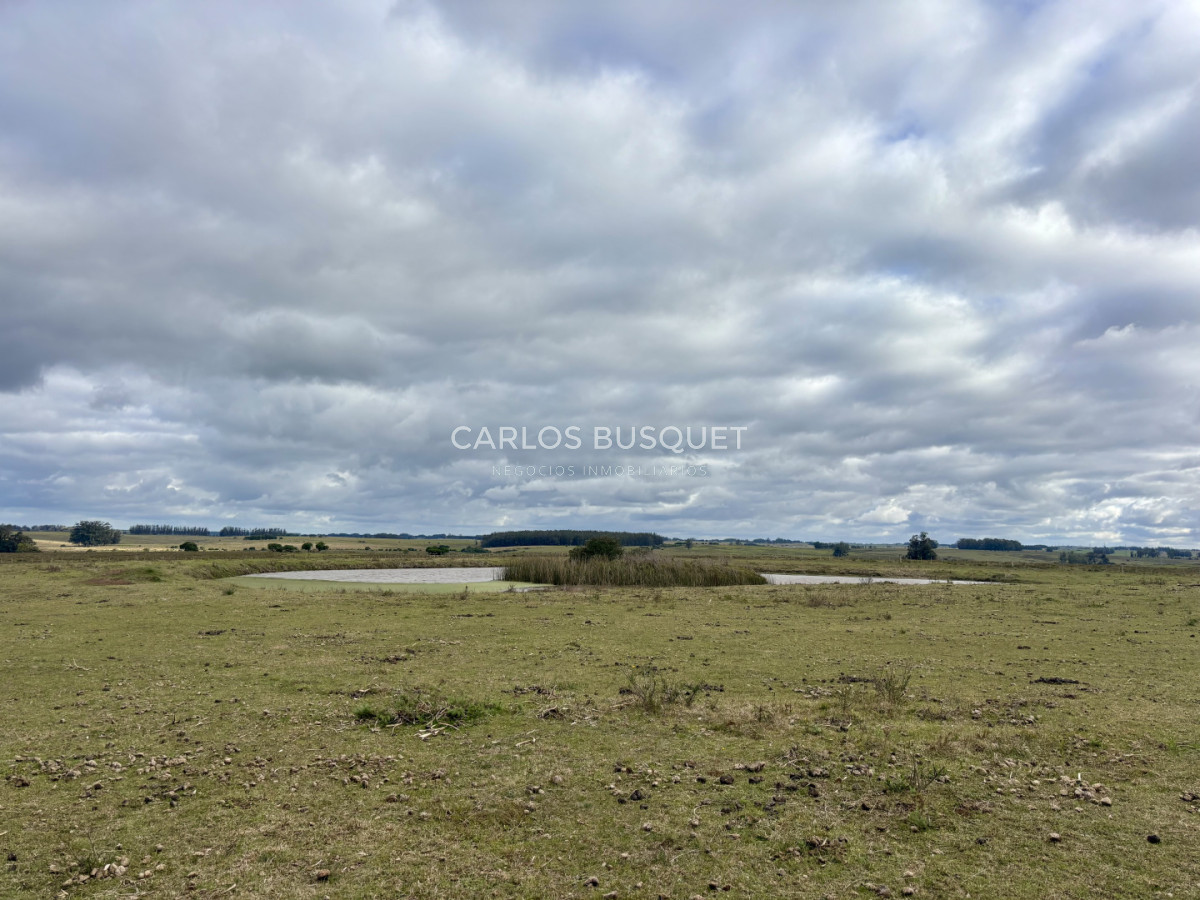 Campo Ref.1726 - Chacra de 30 has. en venta en José Ignacio - Ruta 9 