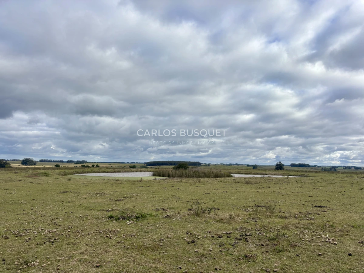 Campo Ref.1726 - Chacra de 30 has. en venta en José Ignacio - Ruta 9 