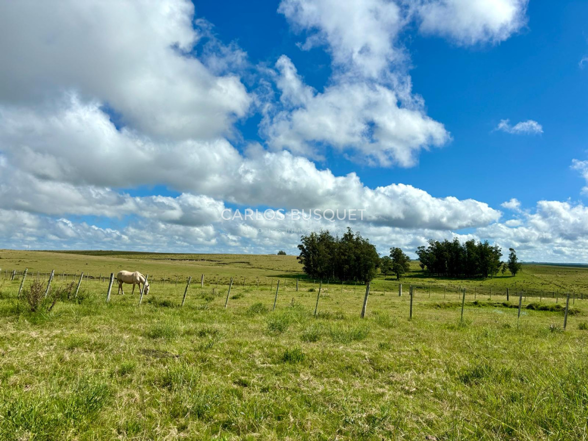 Campo Ref.534 - Campo de 65 has. en venta, en Camino Sainz Martinez, Arco del Sol, Garzon 