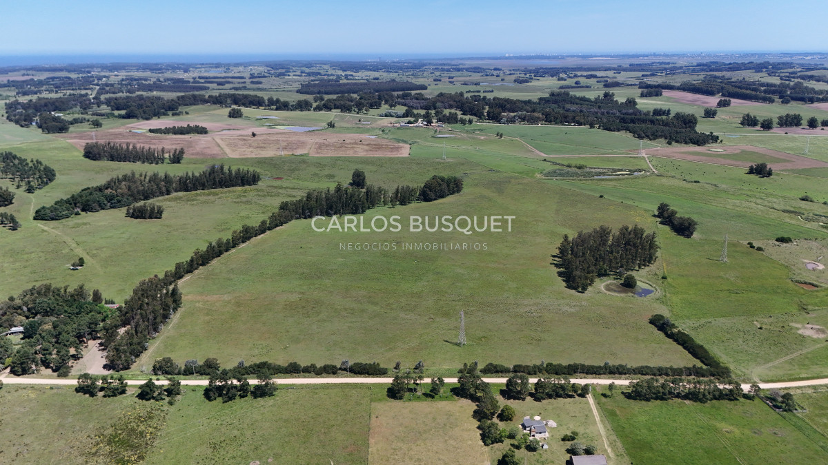 Campo Ref.311 - Campo en venta de 102 Hectáreas zona Ruta 104 