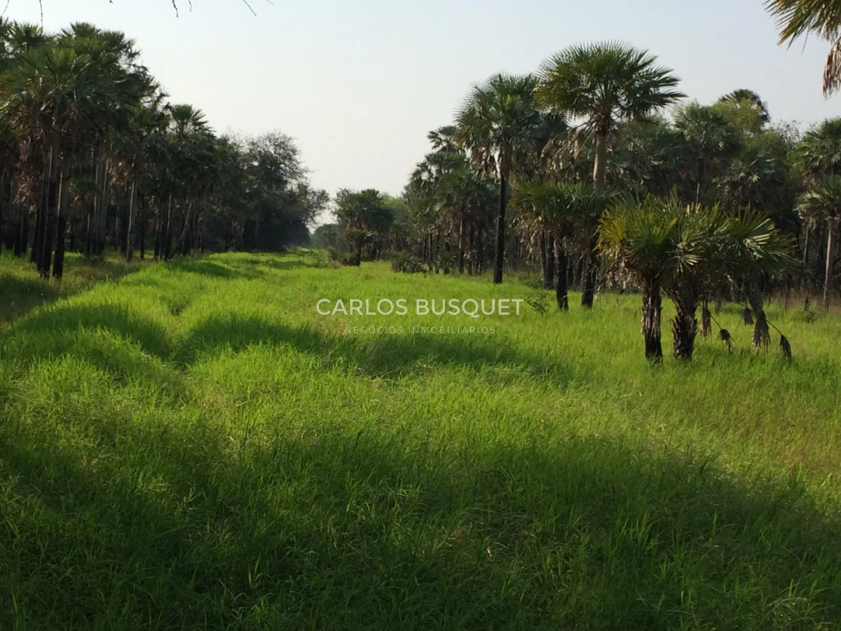 Campo Ref.1695 - Campo en venta de 20.600 has en Formosa 