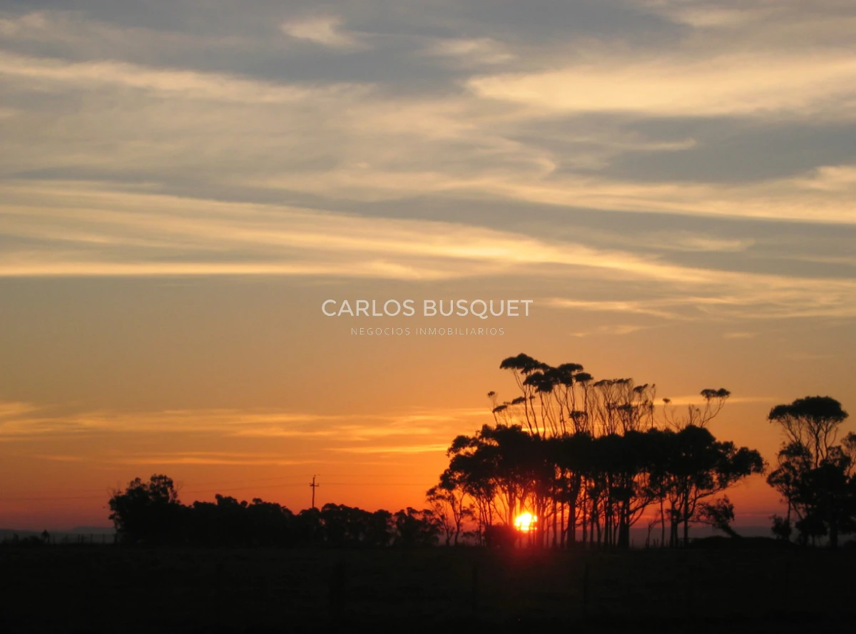 Campo Ref.1207 - CAMPO EN VENTA DE 232 HECTAREAS CON COSTA DE MAR EN ROCHA