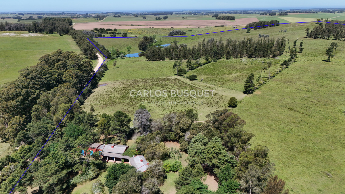 Campo Ref.311 - Campo en venta de 102 Hectáreas zona Ruta 104 