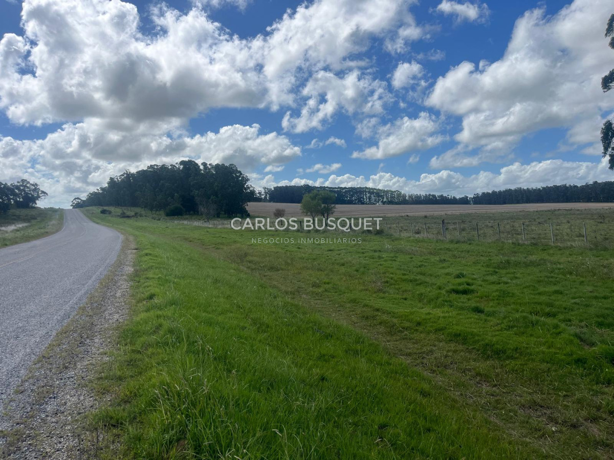 Campo Ref.1160 - Campo Agricola 140 has Garzon Las garzas