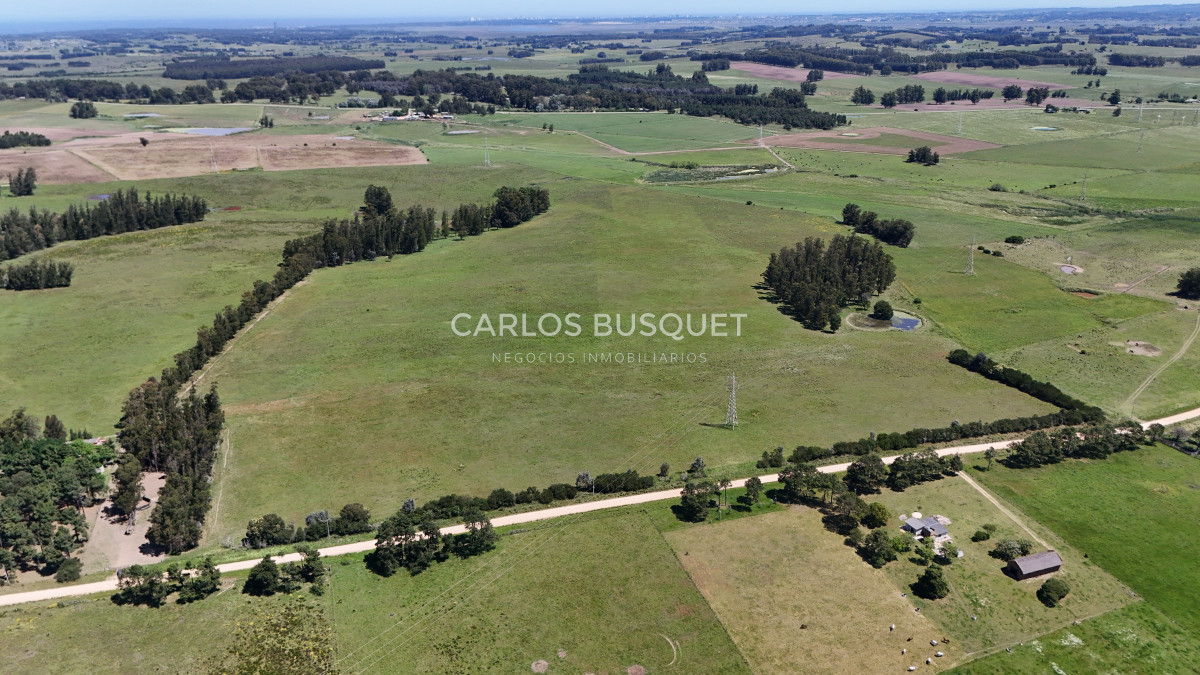 Campo Ref.311 - Campo en venta de 102 Hectáreas zona Ruta 104 