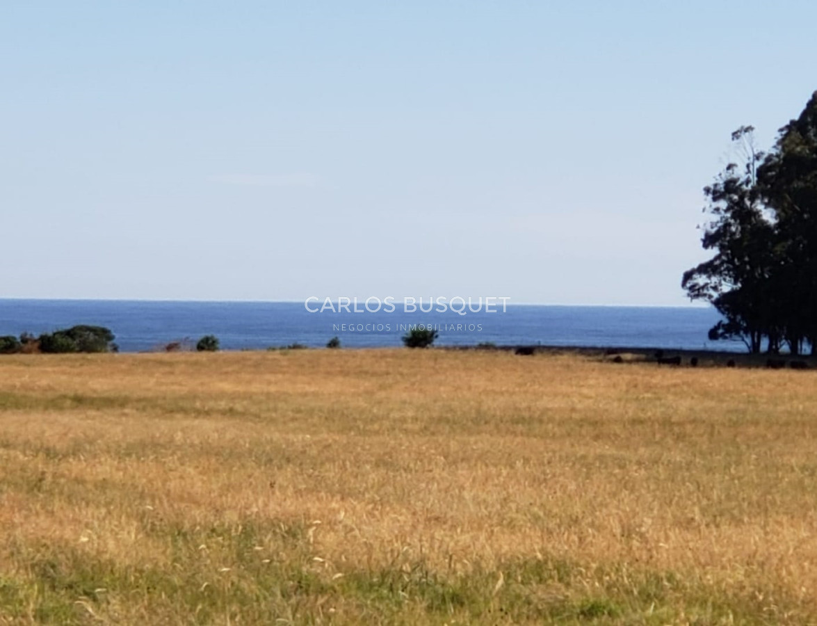 Campo Ref.58 - Campo sobre la Playa en Rocha