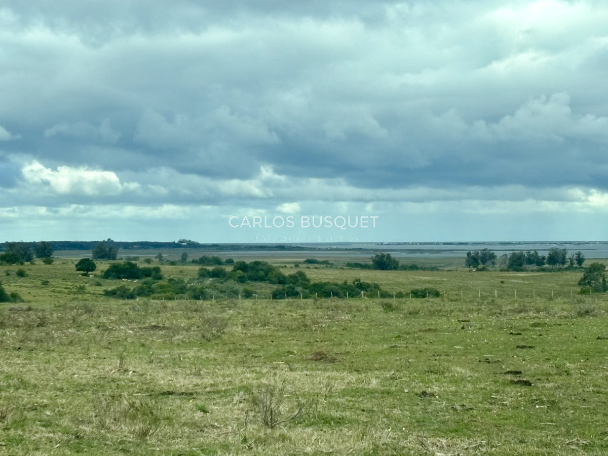 Campo Ref.1726 - Chacra de 30 has. en venta en José Ignacio - Ruta 9 
