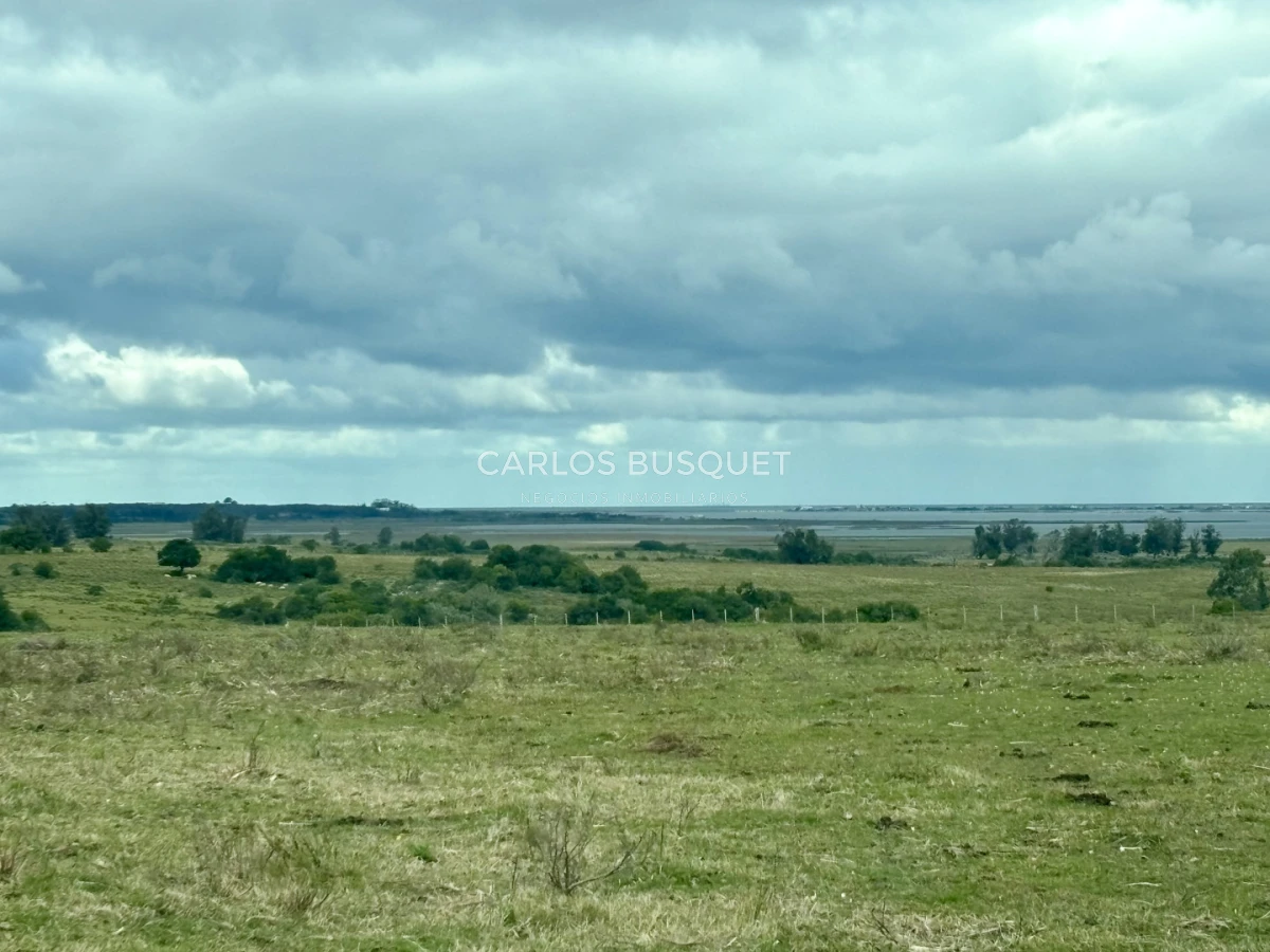 Campo Ref.1726 - Chacra de 30 has. en venta en José Ignacio - Ruta 9 