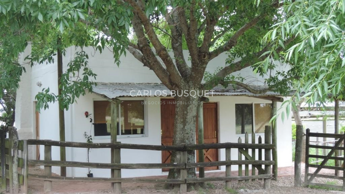 Campo Ref.59 - Campo de 86,5 hectáreas en Rocha