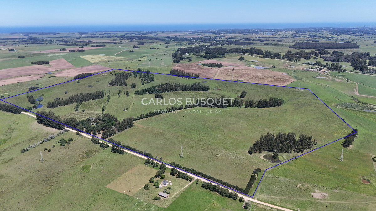 Campo Ref.311 - Campo en venta de 102 Hectáreas zona Ruta 104 