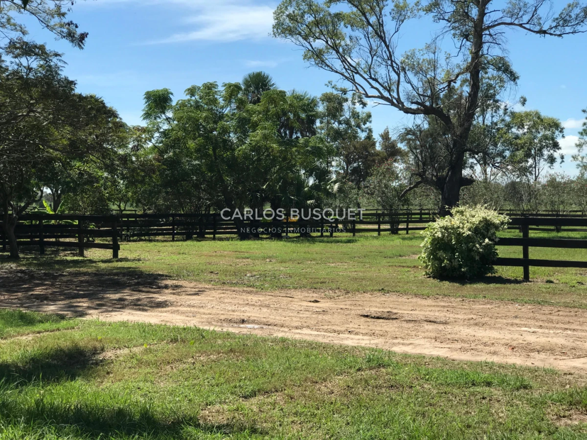 Campo Ref.1704 - Campo ganadero de 1.500 has. en venta en Formosa