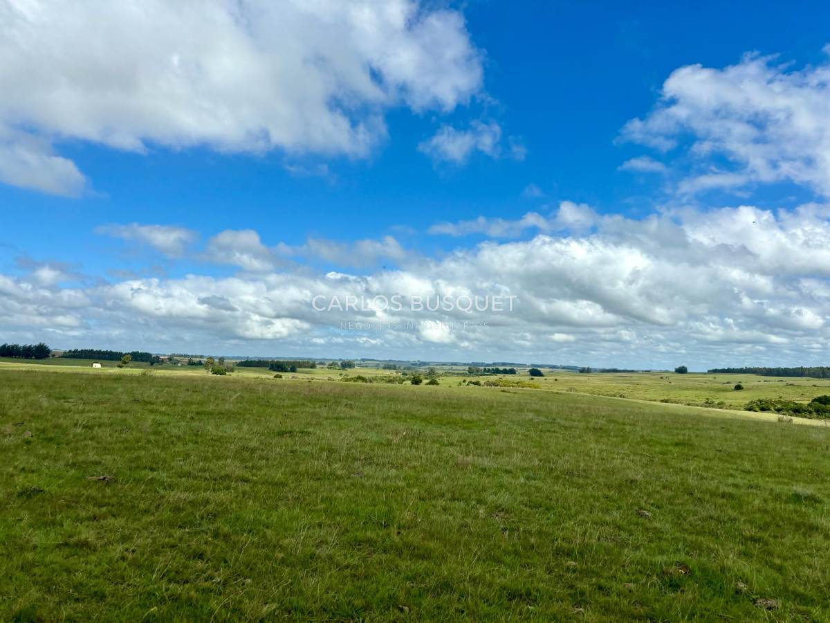 Campo Ref.536 - Campo en venta de 78 has.  en Camino Sainz Martinez, Jose Ignacio 