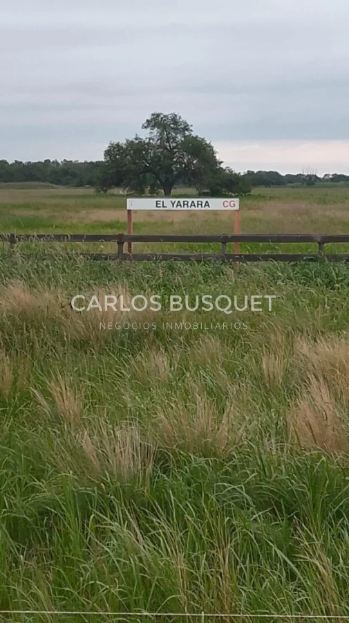 Campo Ref.1695 - Campo en venta de 20.600 has en Formosa 