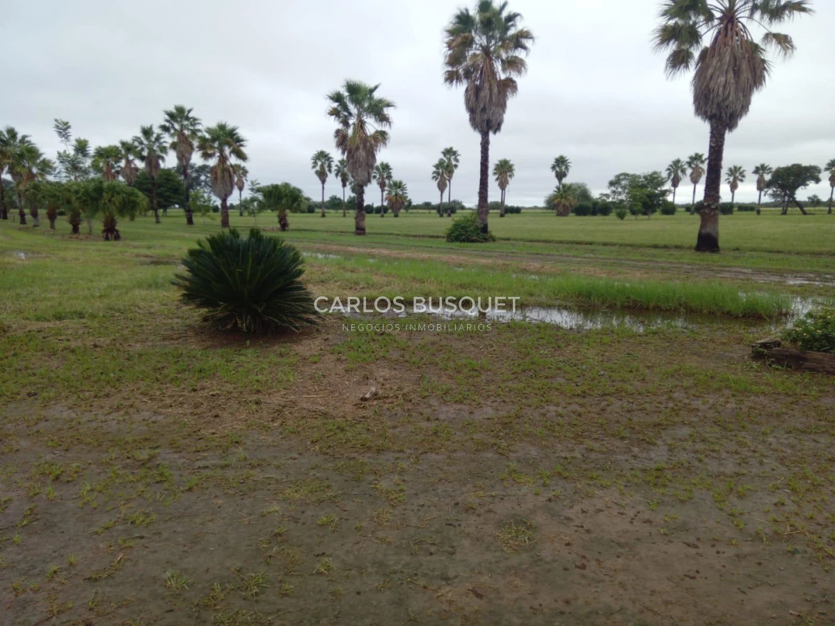 Campo Ref.1695 - Campo en venta de 20.600 has en Formosa 
