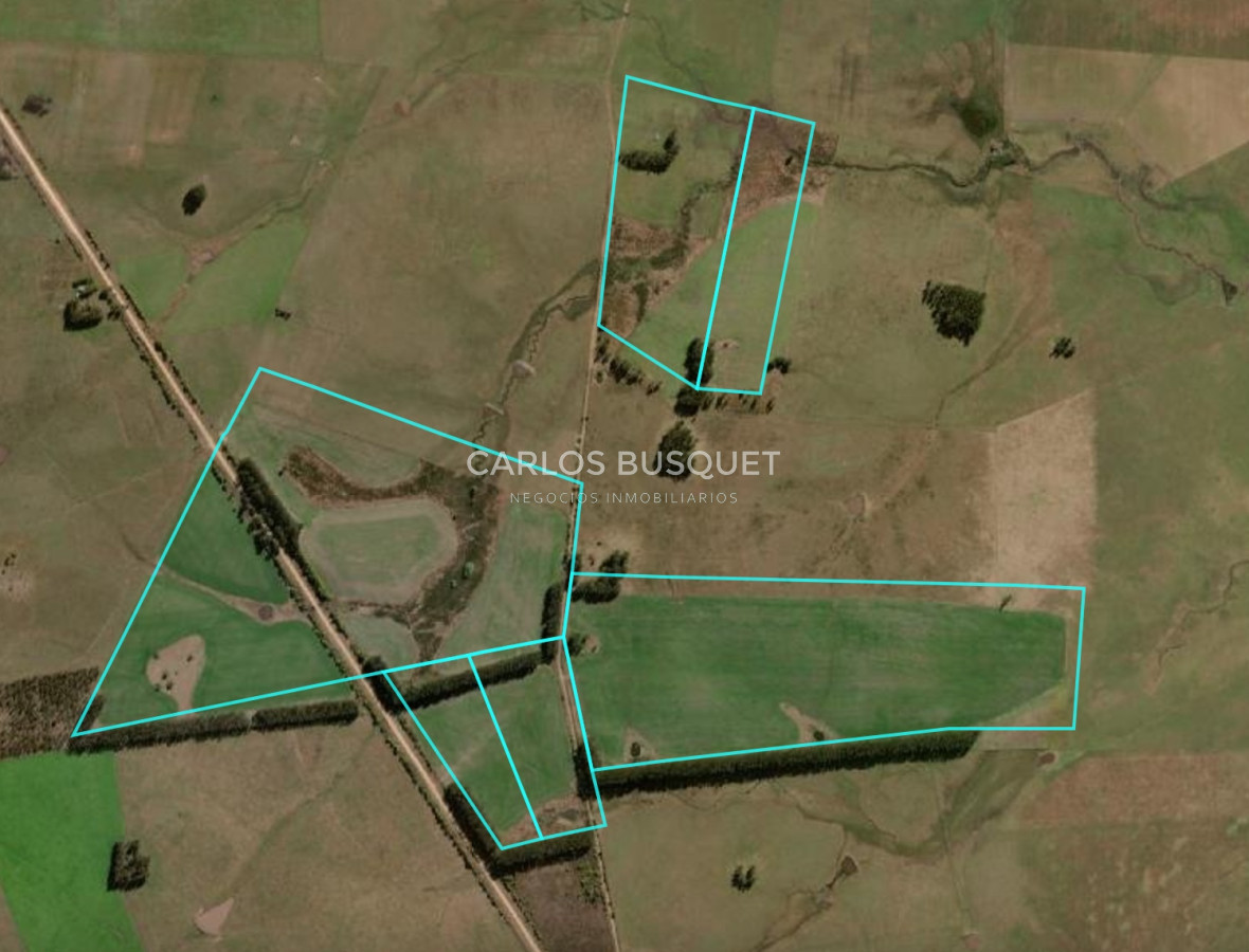 Campo Ref.1160 - Campo Agricola 140 has Garzon - Las garzas