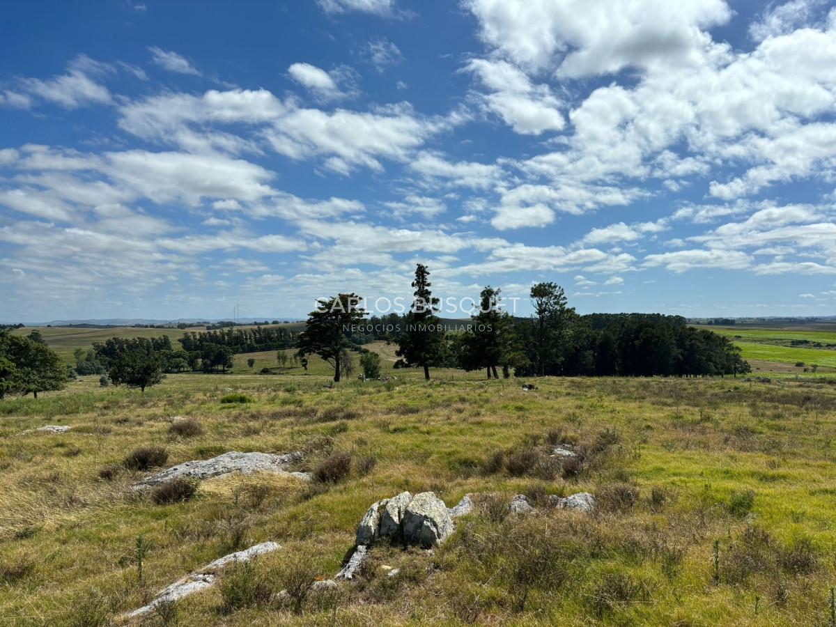 Campo Ref.311 - Campo en venta de 102 Hectáreas zona Ruta 104 