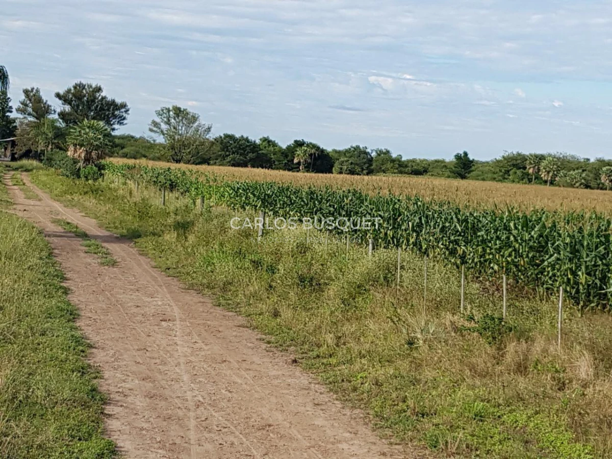 Campo Ref.1698 - Campo en venta de 1,420 hectáreas en Formosa
