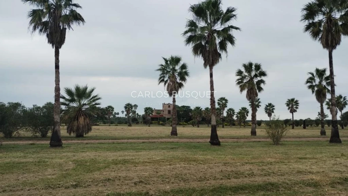 Campo Ref.1695 - Campo en venta de 20.600 has en Formosa 