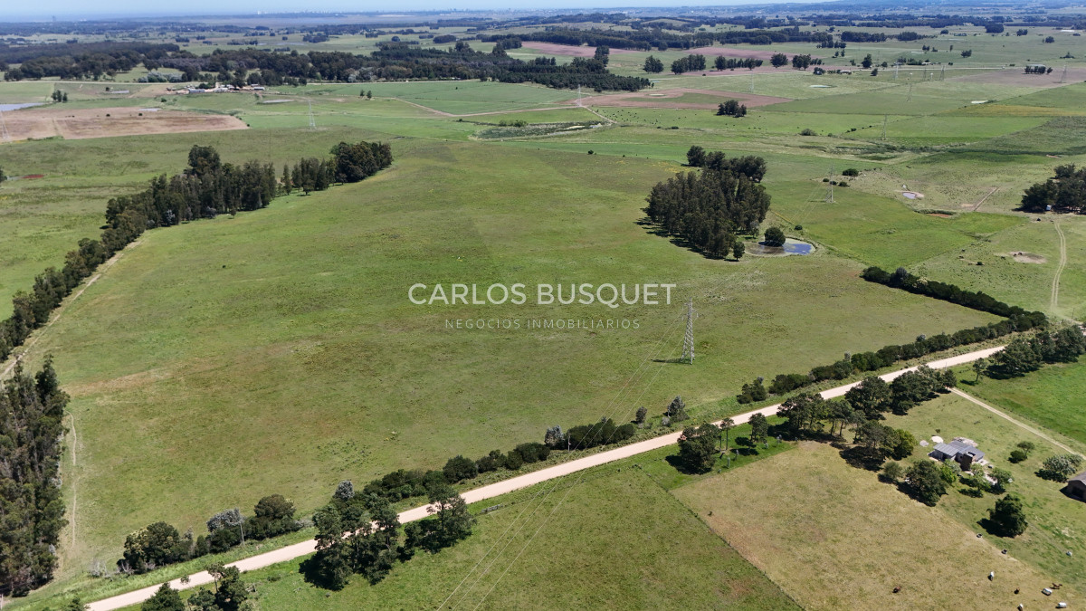 Campo Ref.311 - Campo en venta de 102 Hectáreas zona Ruta 104 