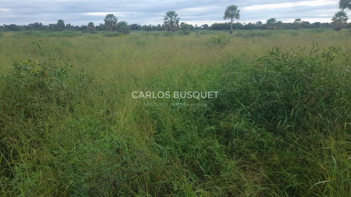 Campo Ref.1704 - Campo ganadero de 1.500 has. en venta en Formosa
