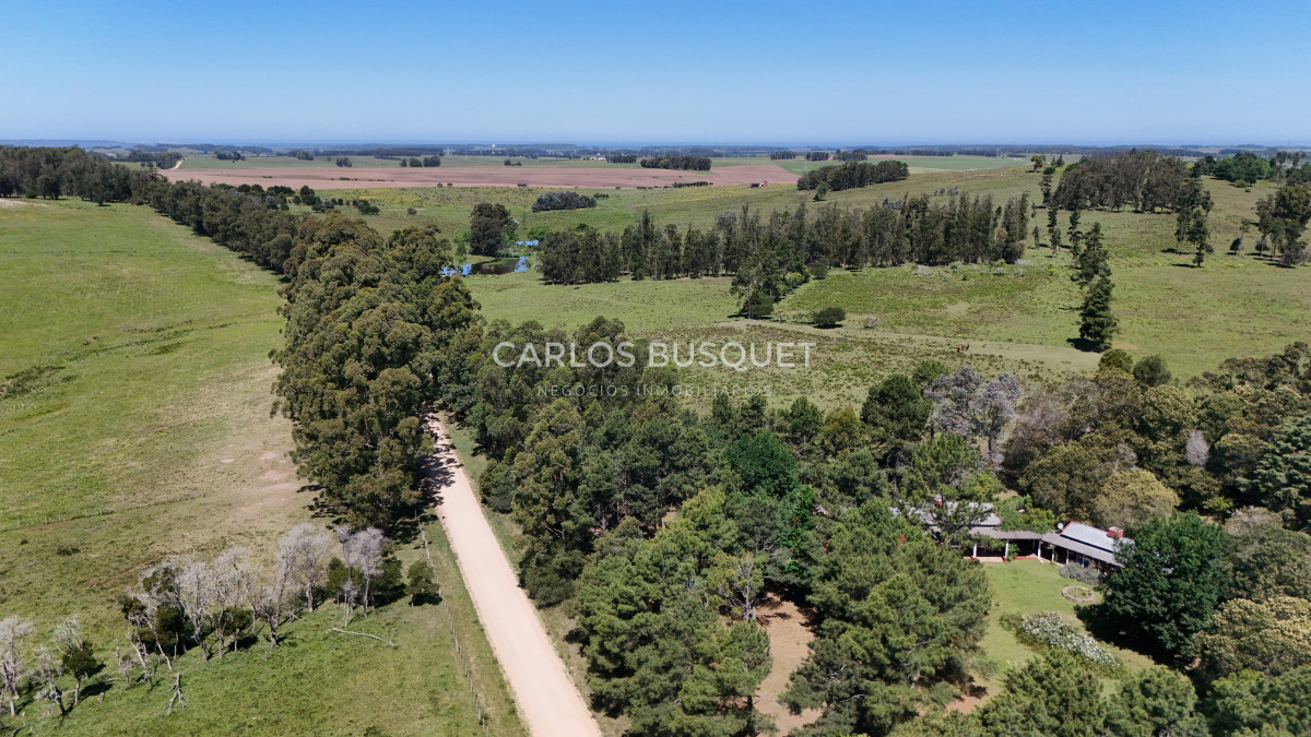 Campo Ref.311 - Campo en venta de 102 Hectáreas zona Ruta 104 