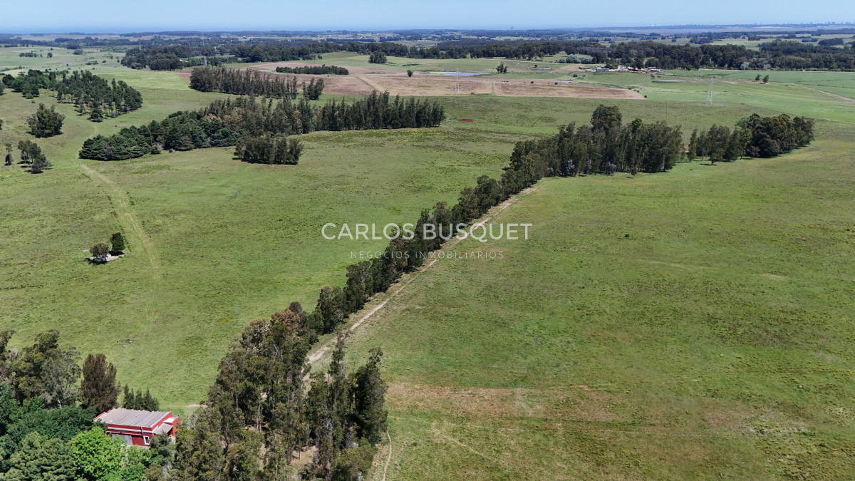 Campo Ref.311 - Campo en venta de 102 Hectáreas zona Ruta 104 