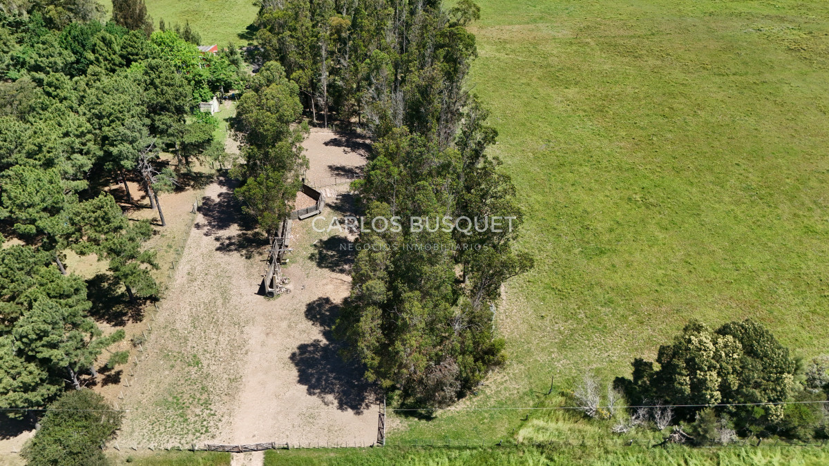 Campo Ref.311 - Campo en venta de 102 Hectáreas zona Ruta 104 