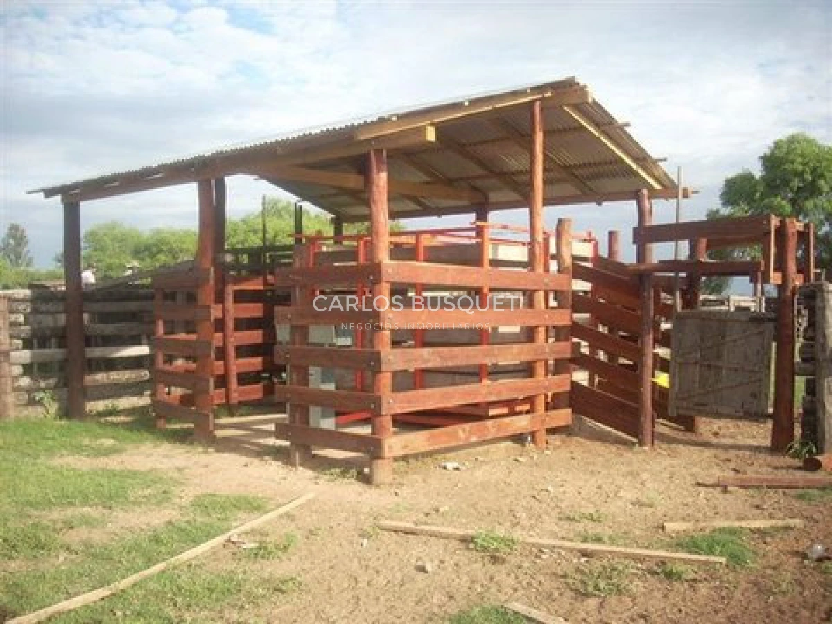 Campo Ref.1695 - Campo en venta de 20.600 has en Formosa 