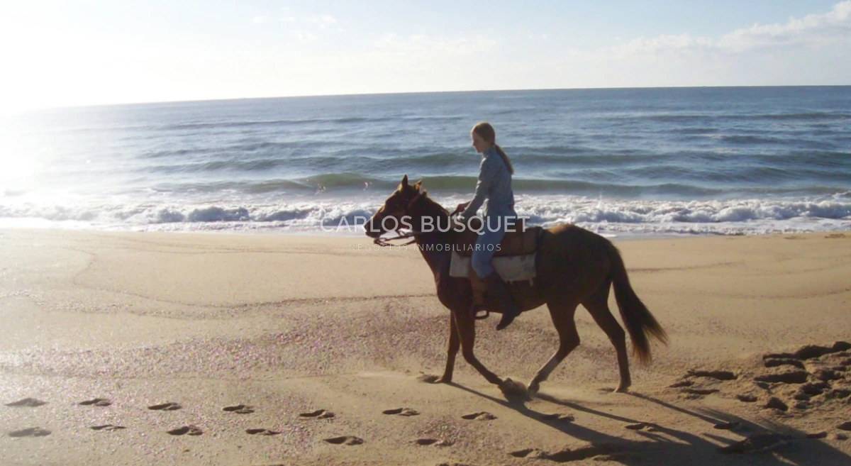 Campo Ref.1207 - CAMPO EN VENTA DE 232 HECTAREAS CON COSTA DE MAR EN ROCHA