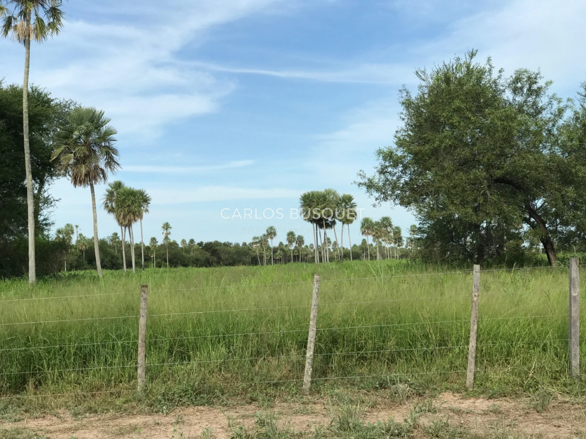 Campo Ref.1698 - Campo en venta de 1,420 hectáreas en Formosa