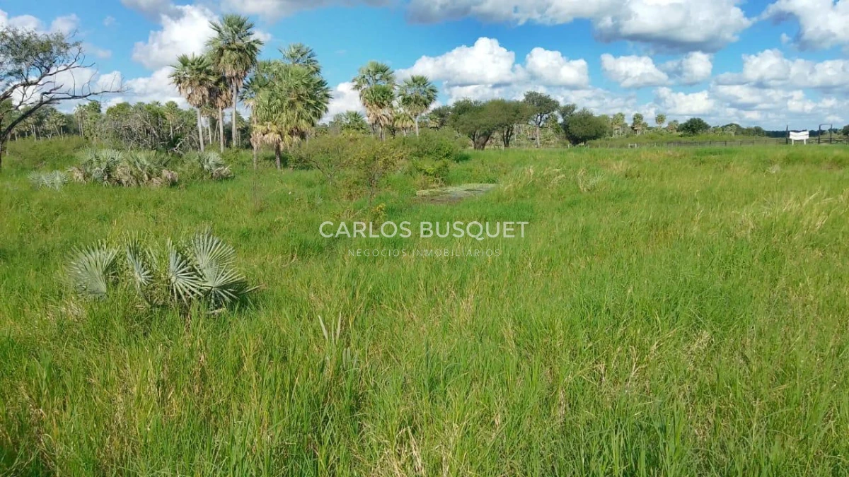 Campo Ref.1707 - Venta de 6.000 has. ganaderas en Formosa