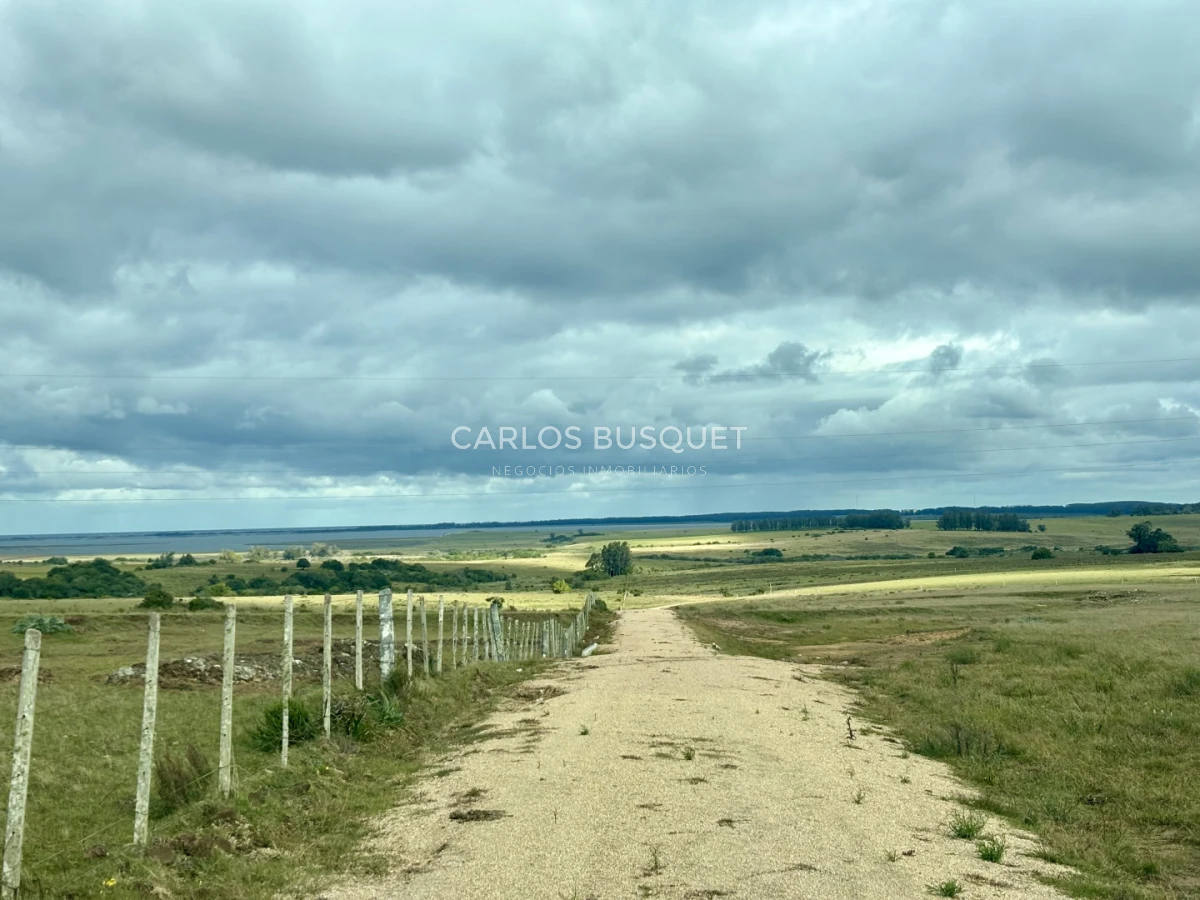 Campo Ref.1726 - Chacra de 30 has. en venta en José Ignacio - Ruta 9 
