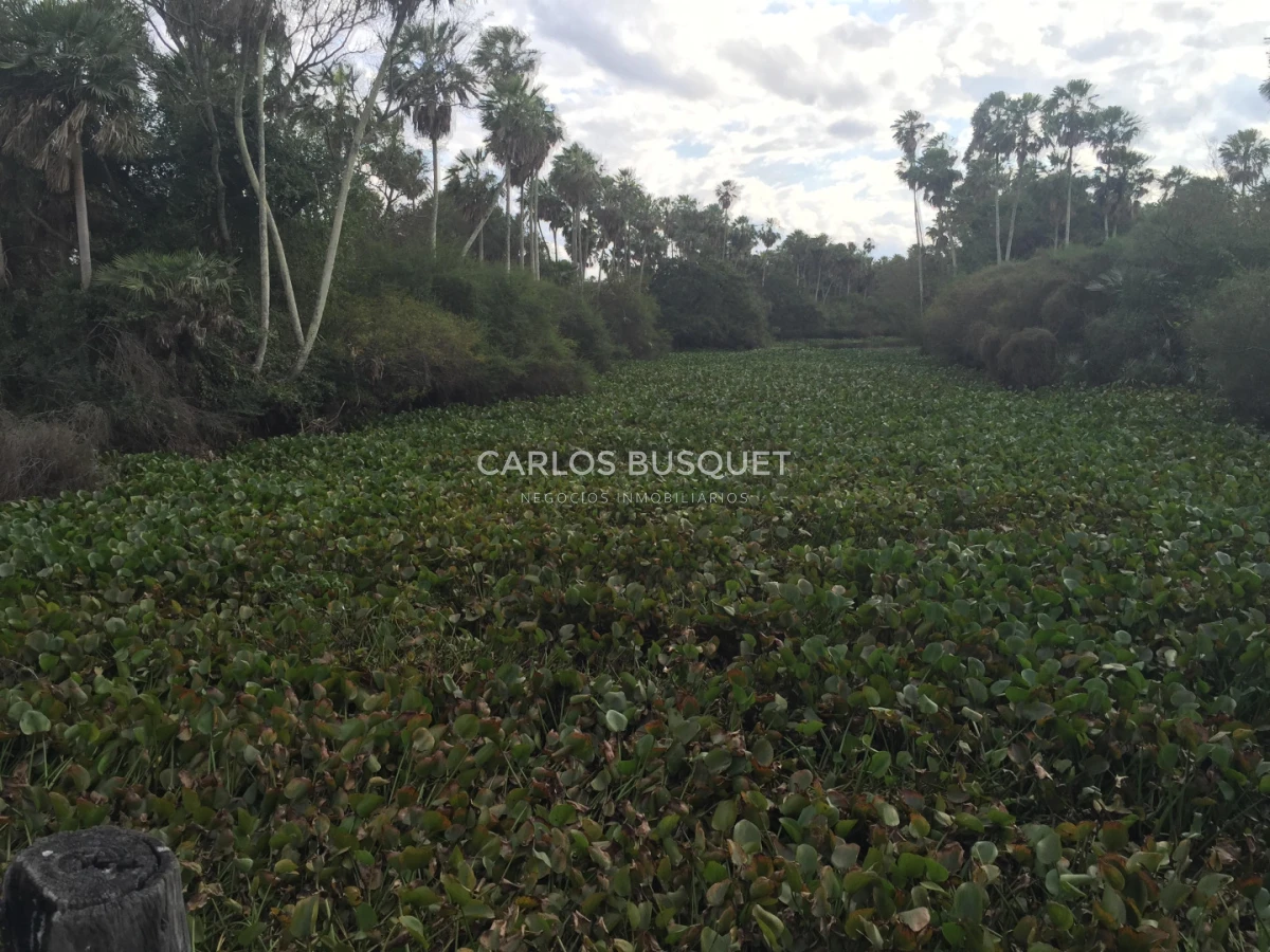 Campo Ref.1707 - Venta de 6.000 has. ganaderas en Formosa