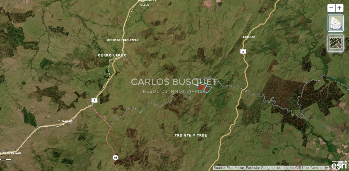 Campo Ref.310 - Campo en venta de 811 has. en Treinta y Tres- Aptitud ganadero forestal 