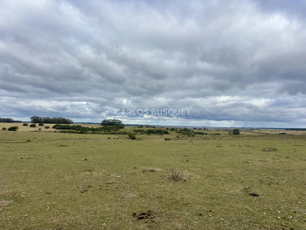 Campo Ref.1726 - Chacra de 30 has. en venta en José Ignacio - Ruta 9 
