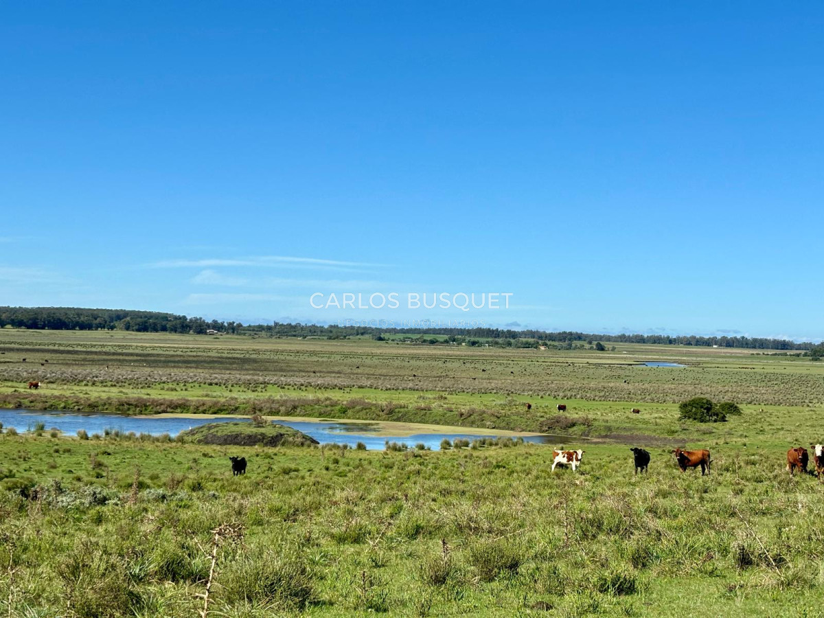 Campo Ref.542 - Campo de 189 has. en venta con costa de arroyo y Laguna de Jose Ignacio 