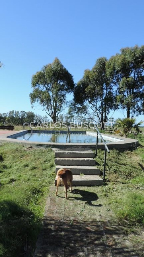 Campo Ref.59 - Campo de 86,5 hectáreas en Rocha