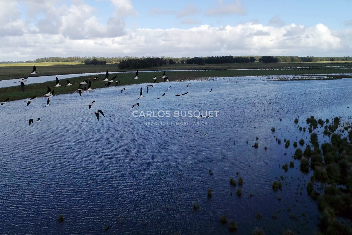 Campo Ref.542 - Campo de 189 has. en venta con costa de arroyo y Laguna de Jose Ignacio 