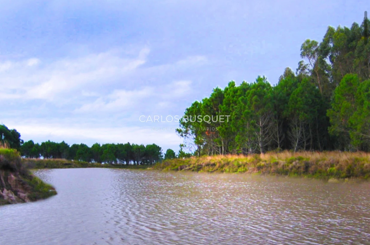 Campo Ref.1207 - CAMPO EN VENTA DE 232 HECTAREAS CON COSTA DE MAR EN ROCHA