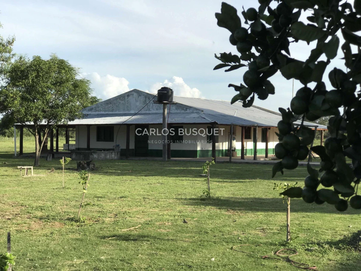 Campo Ref.1707 - Venta de 6.000 has. ganaderas en Formosa