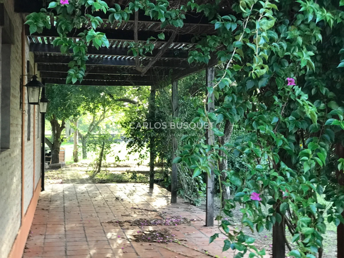 Campo Ref.1704 - Campo ganadero de 1.500 has. en venta en Formosa