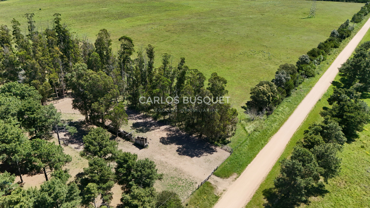 Campo Ref.311 - Campo en venta de 102 Hectáreas zona Ruta 104 